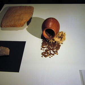 Asten - Paneum                               