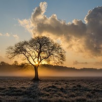 Todesfälle in Altschwendt