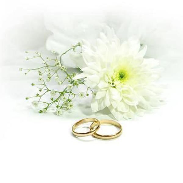 Hochzeit & Ehe / Bild von Marla auf Hochzeit & Ehe