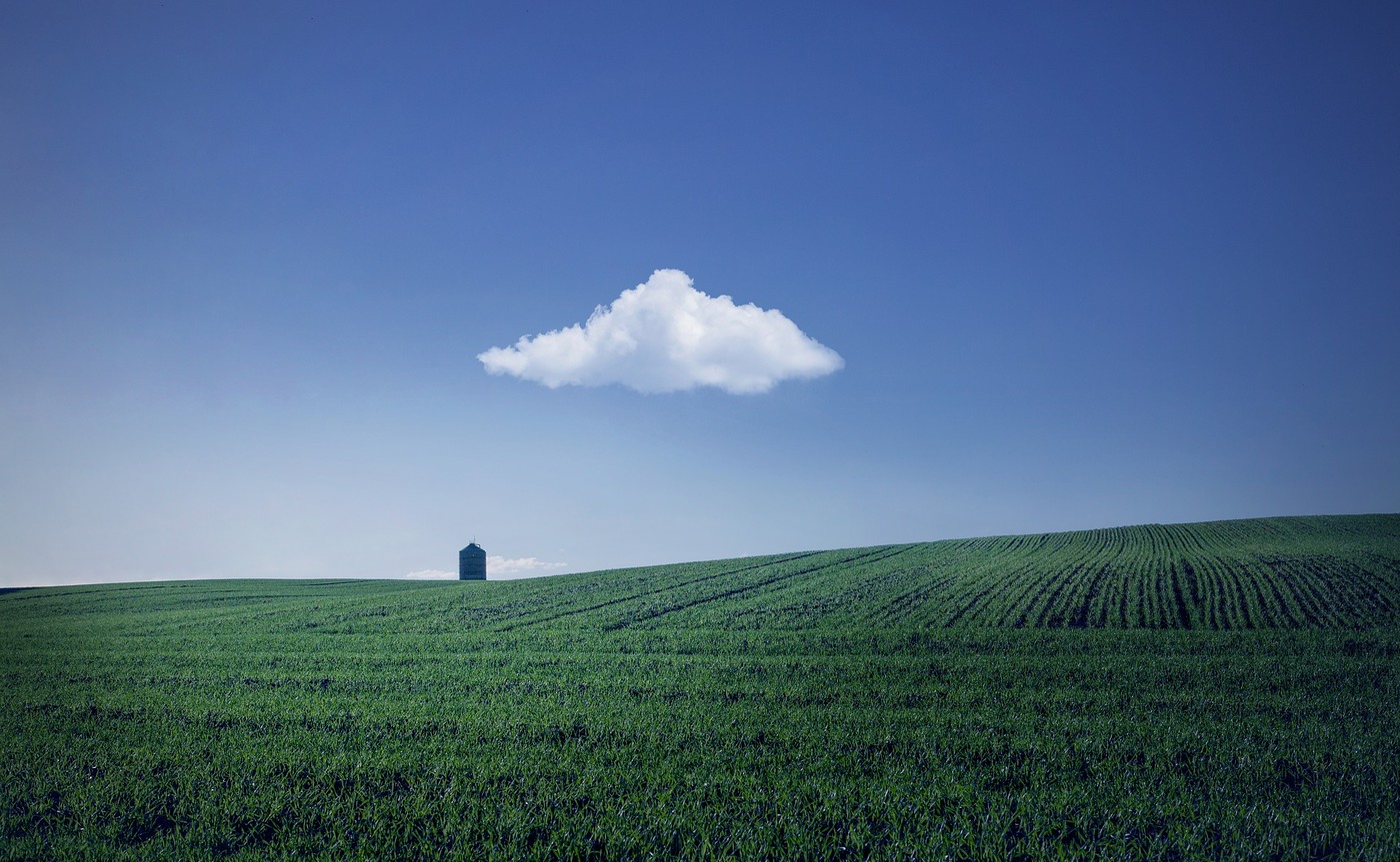 Feld / Pixabay_TIKOHO
