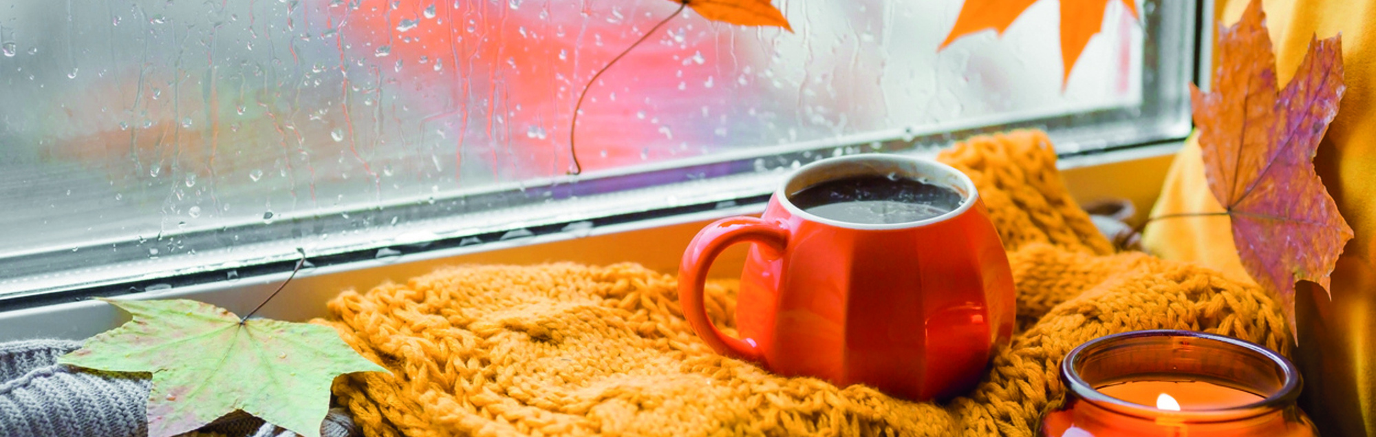 Beautiful autumn still life. The concept of home comfort in rainy autumn weather.