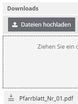 Widget Spalten Downloads