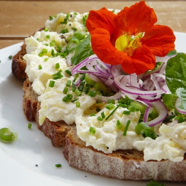 Ernährung