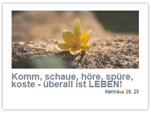 Widget erstellen