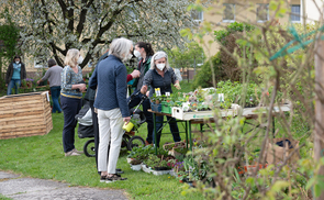 Blumen- und Pflanzenmarkt im Pfarrgarten der Pfarre St. Marien