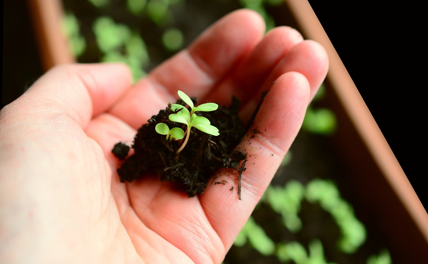 pixabay.com/congerdesign