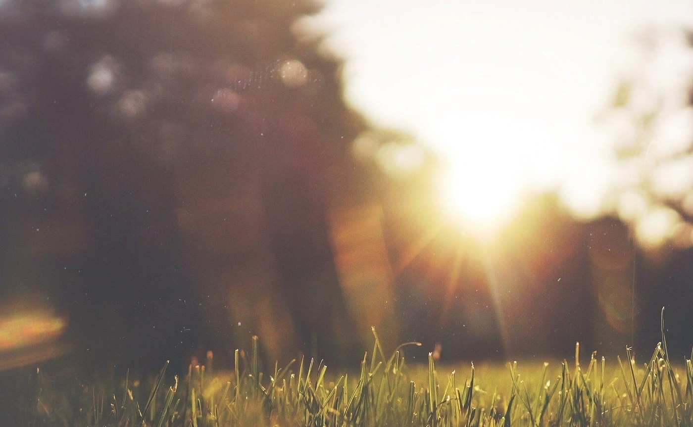 Pixabay_FreePhotos_gespiegelt