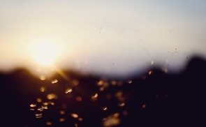 Bokeh