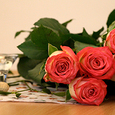 Rosen / © Diözese Linz_Appenzeller Rosen