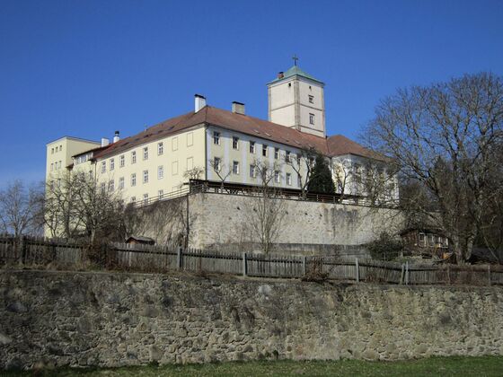 Schloss Riedegg - Mariannhiller-Orden                               