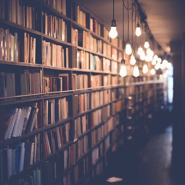 Die KJ Bibliothek - deine Bibliothek für deine Jugendarbeit / © pixabay.com/stockSnap