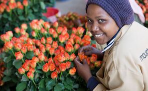 Fair gehandelte Rosen zum Muttertag verschenken