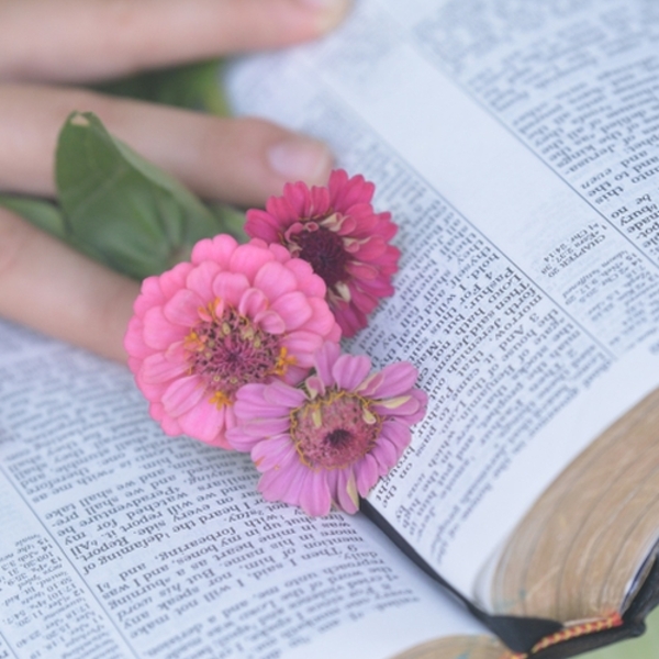 Bibel
