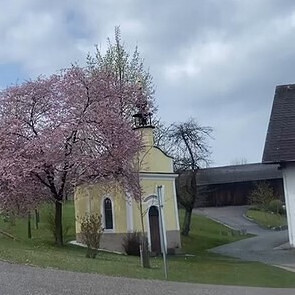 Mandelzweig