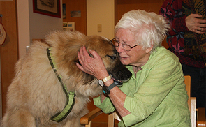 Hundetherapie im Seniorenwohnhaus St. Bernhard in Engelhartszell