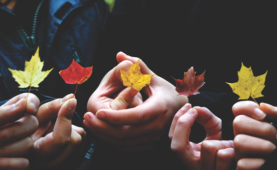 5 Hände halten je ein herbstliches Ahornblatt 