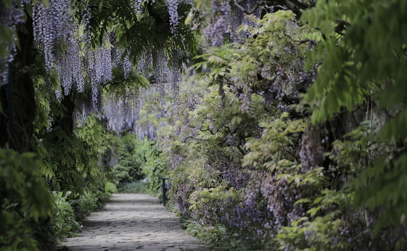 pixbay/Ingeborg Gärtner-Grein