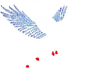 On the breathing wings of a horse